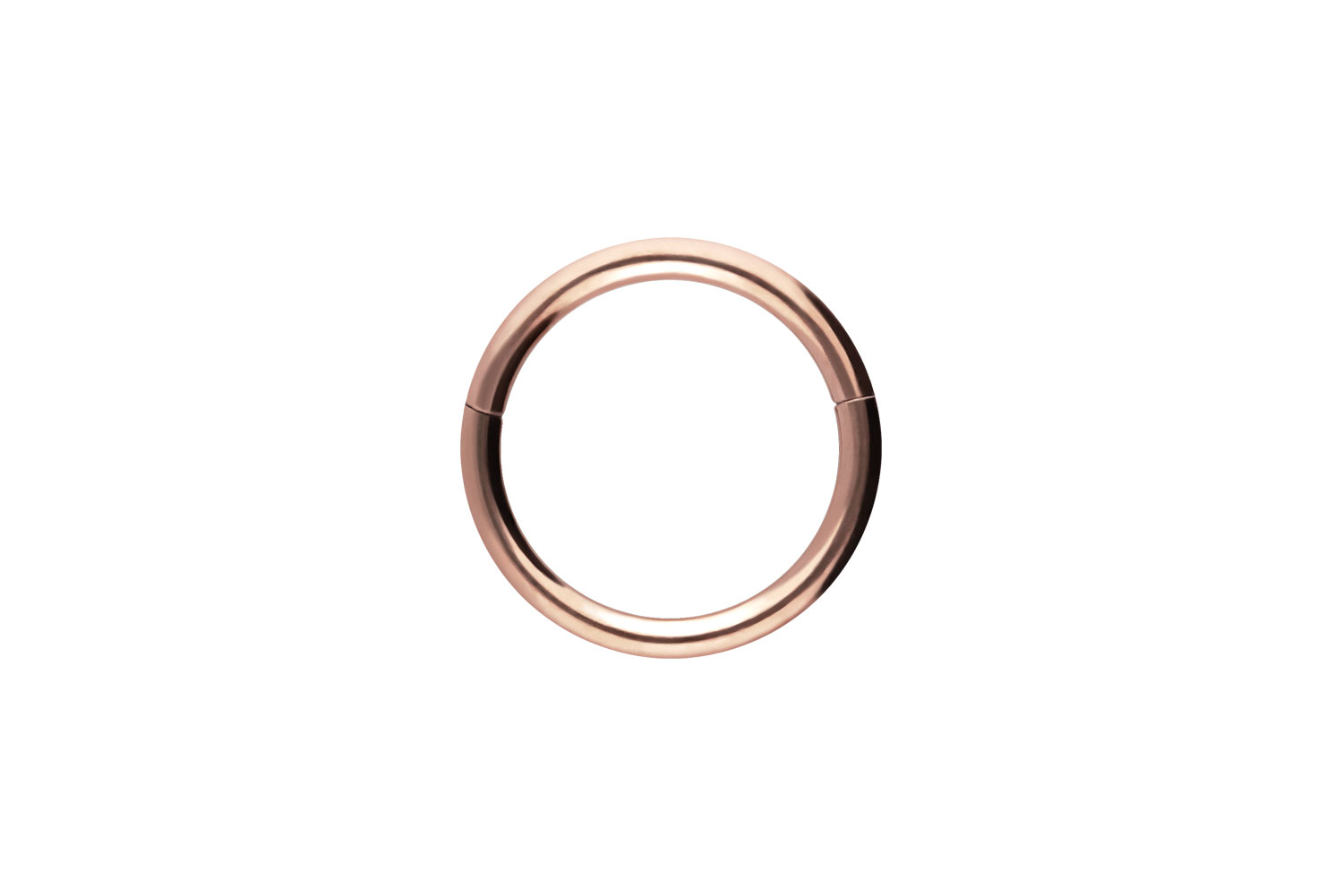 Chirurgenstahl Segmentring Clicker Piercing